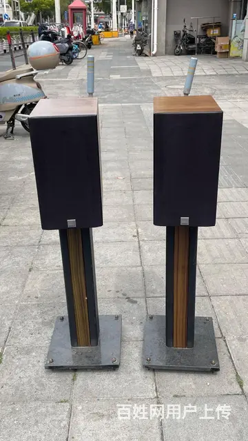 DALI达尼OPTICON 2书架音箱，丹麦制造， - 图片 2