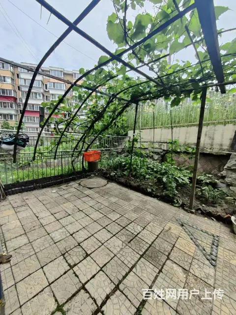 鹿林山比优特附近商住两用 - 图片 4