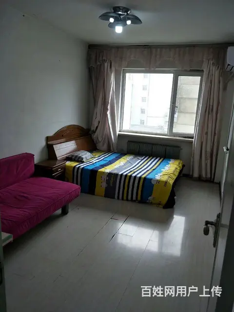 北市场，八一公园西塔附近，南京九小学后身 - 图片 2