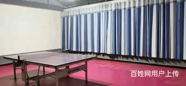 学习乒乓球 - 图片 3