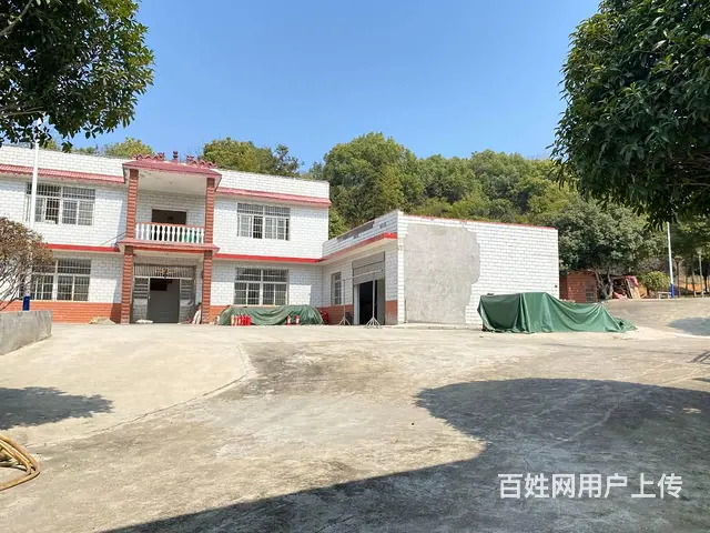(房东直租)汉回捞建路1000平独院场地带整栋房屋优价出租 - 图片 5