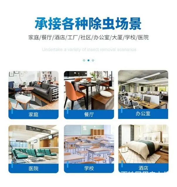 泰山区杀老鼠晨曦控虫的公司 - 图片 2