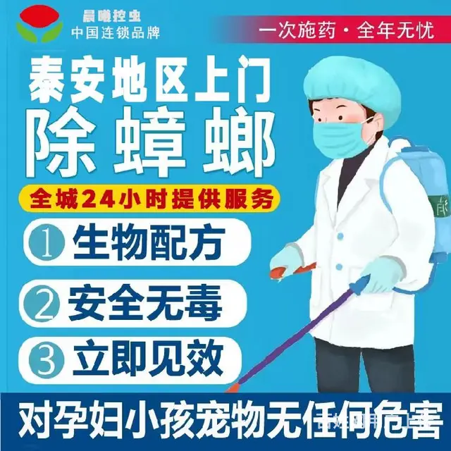 泰山区消灭小黄家蚁晨曦控虫消杀公司 - 图片 1