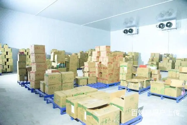西山兵团经济开发区冷库出租 - 图片 5