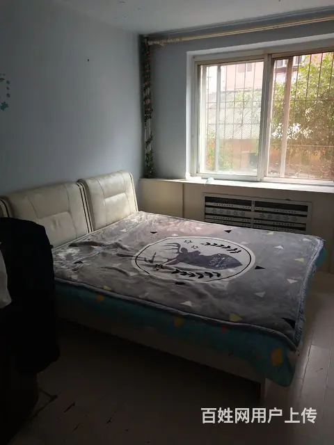 马家新区一楼出租 - 图片 2