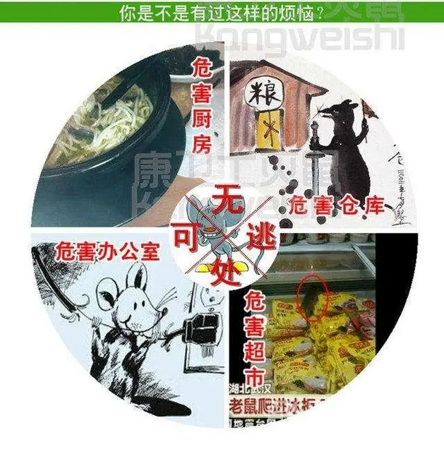 宿州灵璧家政公司，灯具清洗，物业保洁，快速响应怎么收费 - 图片 3