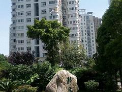 出租九江沃尔玛旁静园小区1楼租住或办公