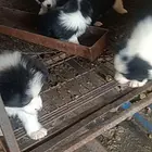 出售中