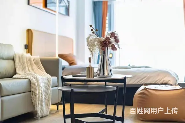 押一付一 长租有优惠 独门独户 可短租 设施齐全 包物业网络 - 图片 5