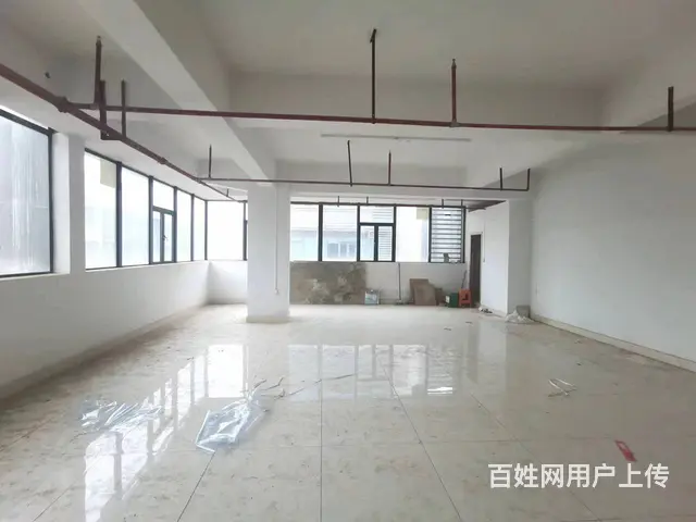 （51旺铺推荐）龙华区林安商贸城300平旺铺招租 - 图片 5