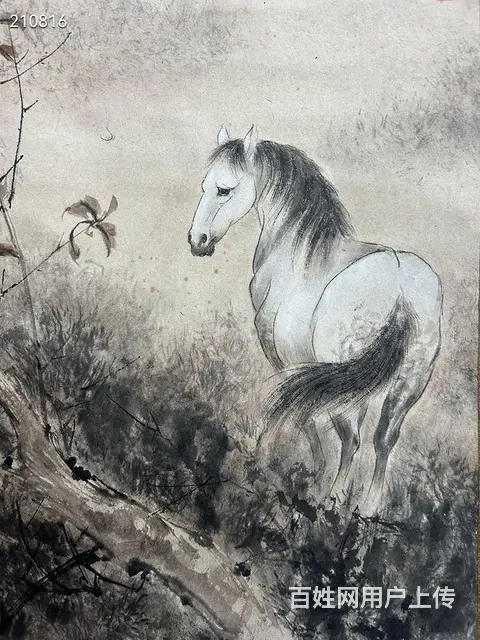 高剑父马，36×96cm - 图片 4