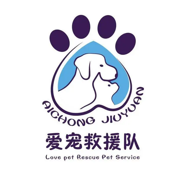 猫在楼层里跑丢了怎么找洛阳找猫团队真的能找到吗 - 图片 1