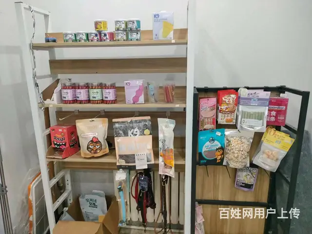 香坊安埠街宠物店 宠物美容店铺转让 - 图片 2