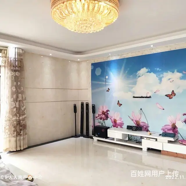 【搞定了！】大汉龙庭大户型192pm➕车库20多pm - 图片 2