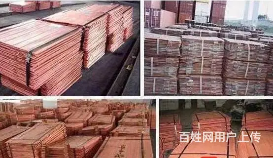 大量收购智利电解铜诚信为本 - 图片 3