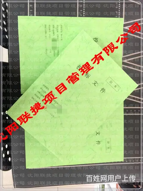 辽采项目制作，CA办理，企业入库，专业团队 - 图片 6
