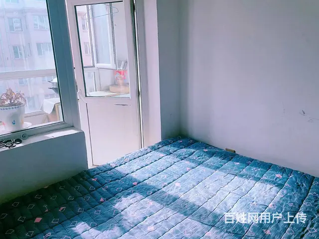 九洲松鹤4楼500两室一厅可以月租 - 图片 9