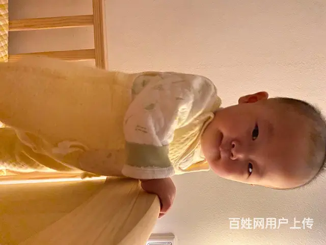 天宁厂房装修 龙牌石膏板隔墙吊顶 天宁办公室装修设 - 图片 2