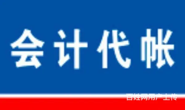 代理的记账申报服务 - 图片 1