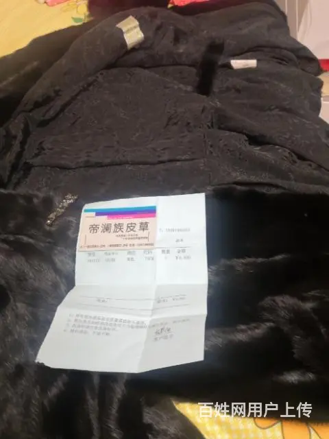 貂皮 - 图片 9