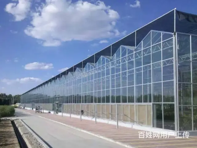 苏州卓尼PC板温室大棚，生产加工一体，可定制 - 图片 2