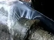 太仓浏河专业消防管道查漏免费勘察 - 图片 1