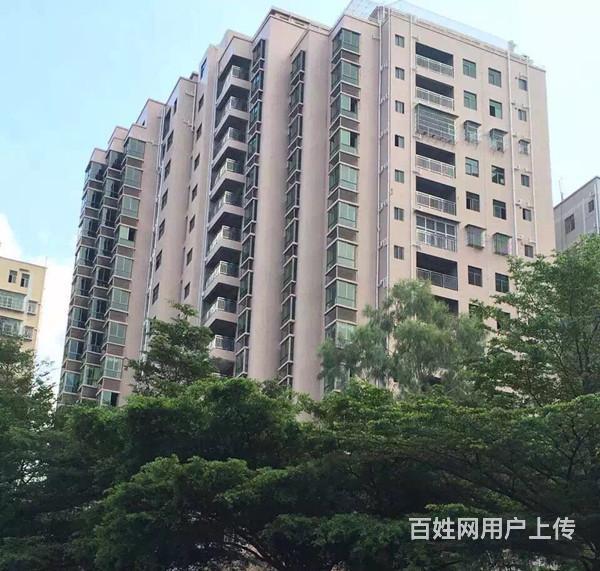 坂田:4栋花园统建楼【海发大厦】均价1.1万分期