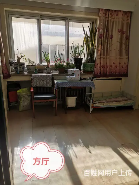 降1万公园小学13中学区房 - 图片 1
