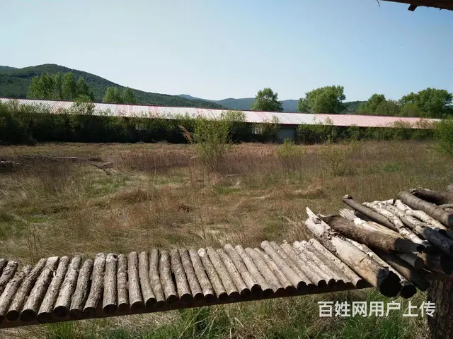 出租或共同经营养殖 - 图片 5