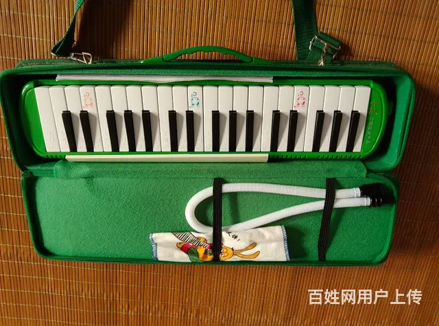 闲置口风琴便宜处理 - 图片 2