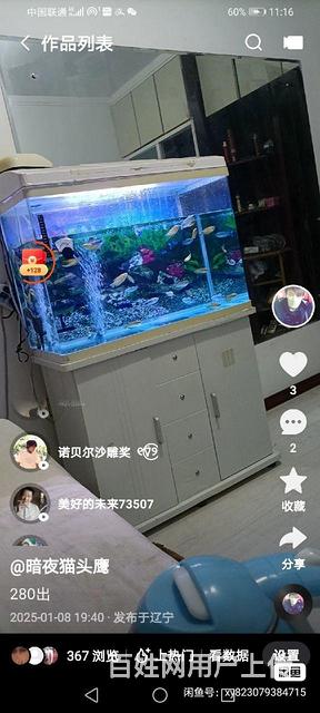 水族箱的图片