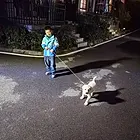 狗