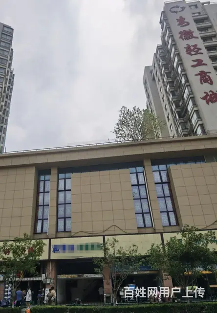 北一环新蚌埠路交口安徽轻工商城 - 图片 1