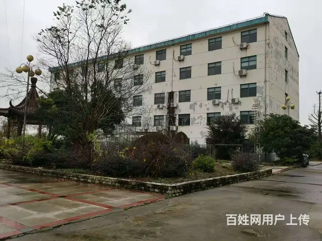 标准厂房出租9000平米面议 - 图片 8