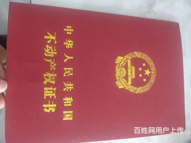 低价出售 南北通透电梯毛坯房，超大楼间距，绿化好 - 图片 5