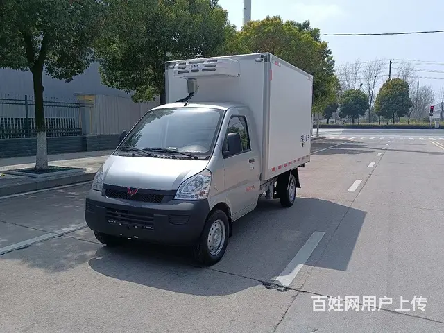 五菱汽油厢式冷藏车 水果蔬菜保鲜车 定做定制定金 - 图片 2