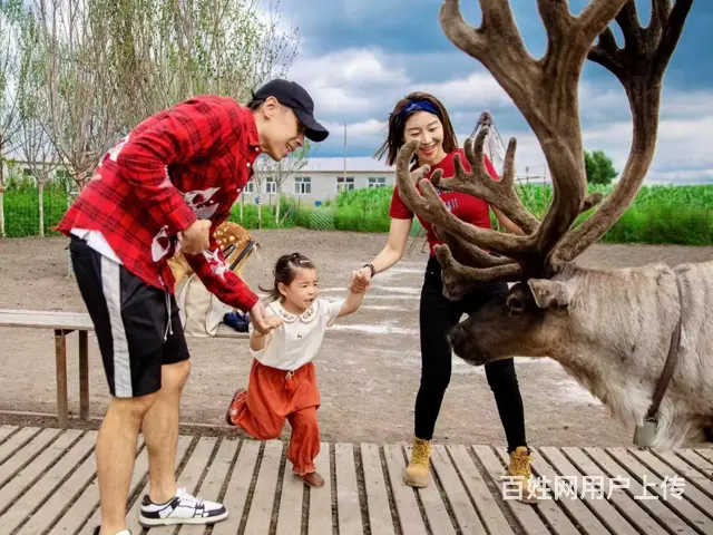 呼伦贝尔海拉尔呼伦贝尔旅游租车司机领队中巴车 - 图片 3