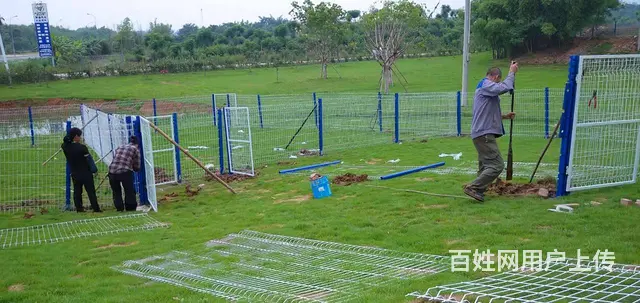 草坪护栏网，库房、幼儿园防护网，养殖种植围栏 - 图片 2