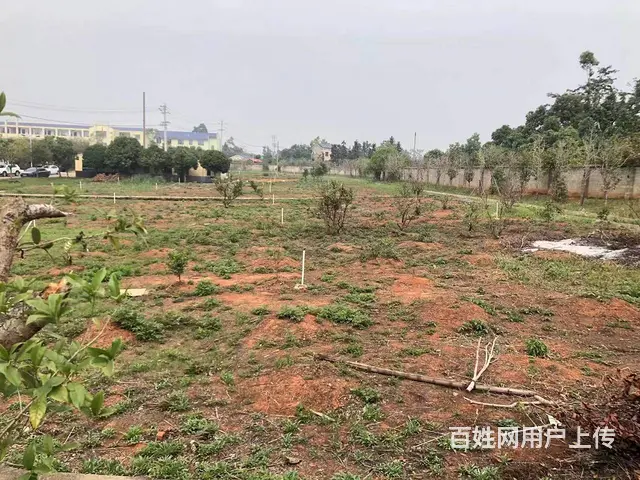 靖港古镇休闲旅游区旁50亩鱼塘➕10亩土地优价出租或合伙经营 - 图片 9