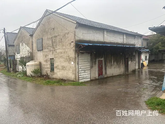 戴山西面2公里仓库出租 - 图片 1