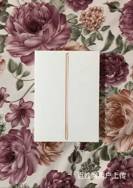 个人急售全套全新 新款ipad 带发票 - 图片 1