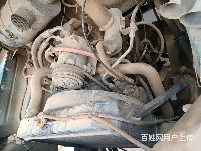【搞定了！】钦机海龙 - 图片 10
