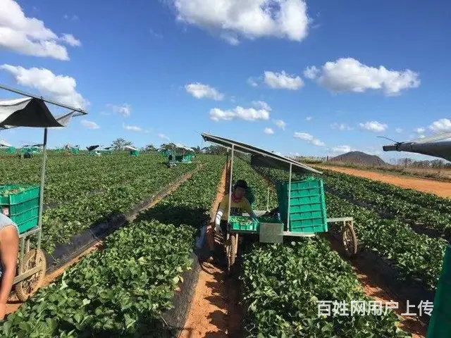 急聘电工，有五险一金，有包住，学历不限 - 图片