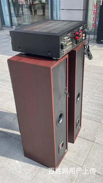 丹麦原装进口至尊XL170三分频双6.5寸发烧音箱 - 图片 7