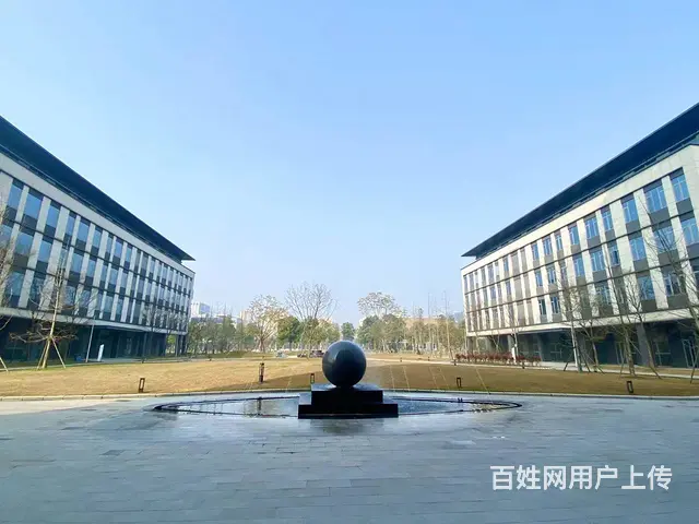 租售双流电子科技园独栋平层，精装现房，100起的图片