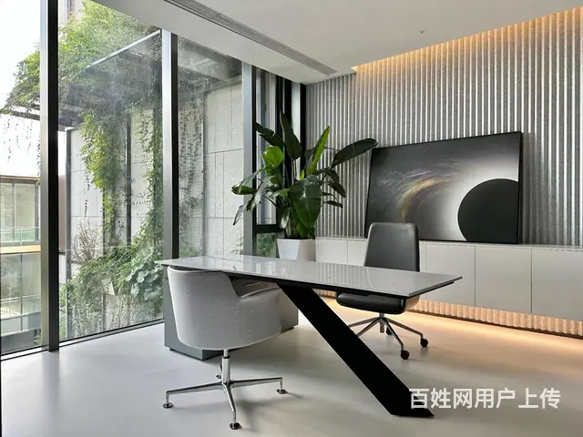 通燃气，可冠名，西溪印独幢商墅产品，送花园赠送地下室500方 - 图片 9