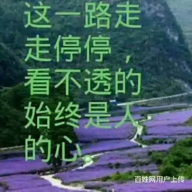 征婚 - 图片