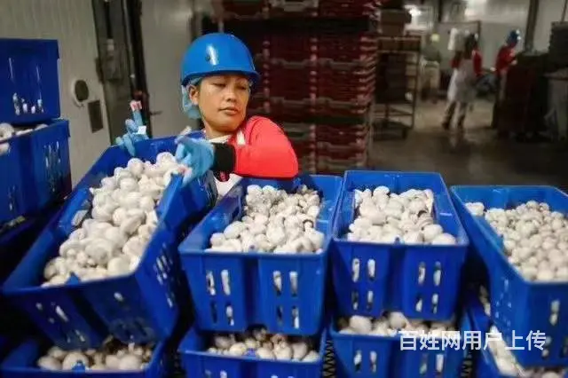 香港工地招大陆工人信号工安全员工资高月薪3万 - 图片 7