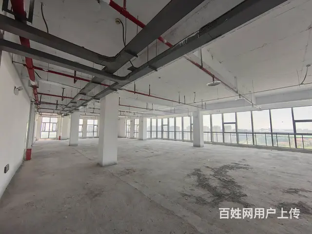 金龙湖旁软件园150到1000平纯办公一手现房 - 图片 10