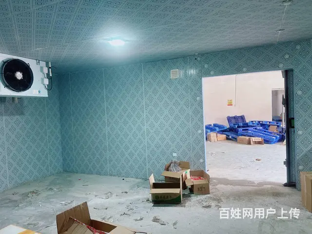 （老板本人）开福区捞刀河街道自建仓库➕冷冻库出租6856 - 图片 5